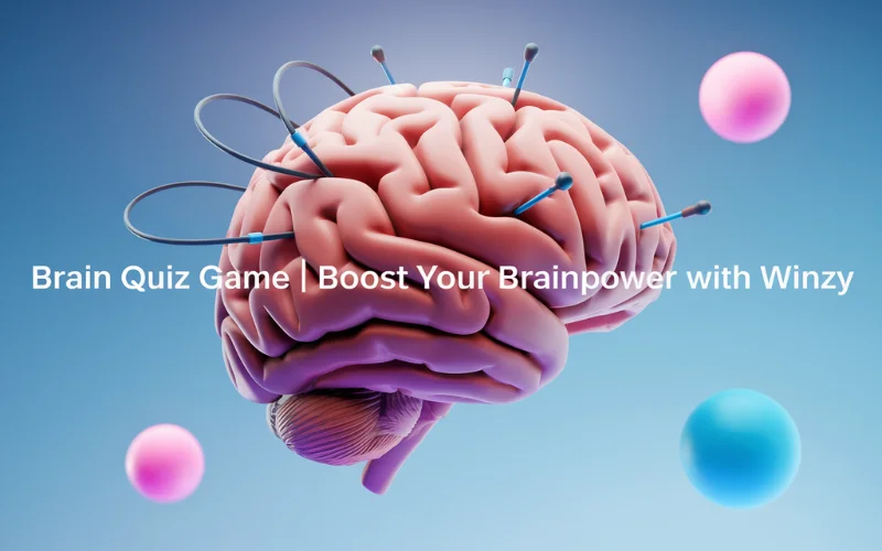 Brain Quiz Game