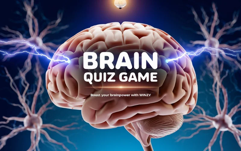 Brain Quiz Game